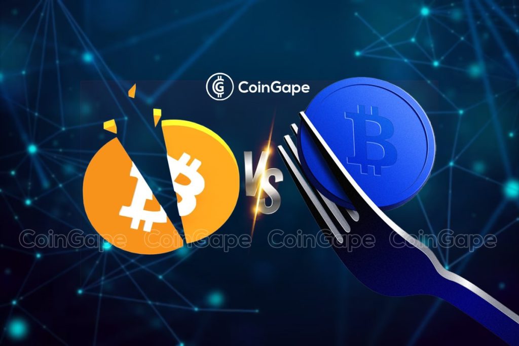 Halving Vs Forking.jpg