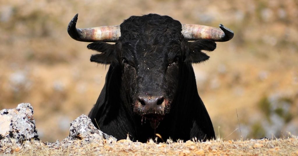 Οι τιμές του Bitcoin (BTC) στοχεύουν στο επίπεδο των 40.000 $, να γιατί Nxgday6j3nc7fat7tmhrk55u2m.jpeg