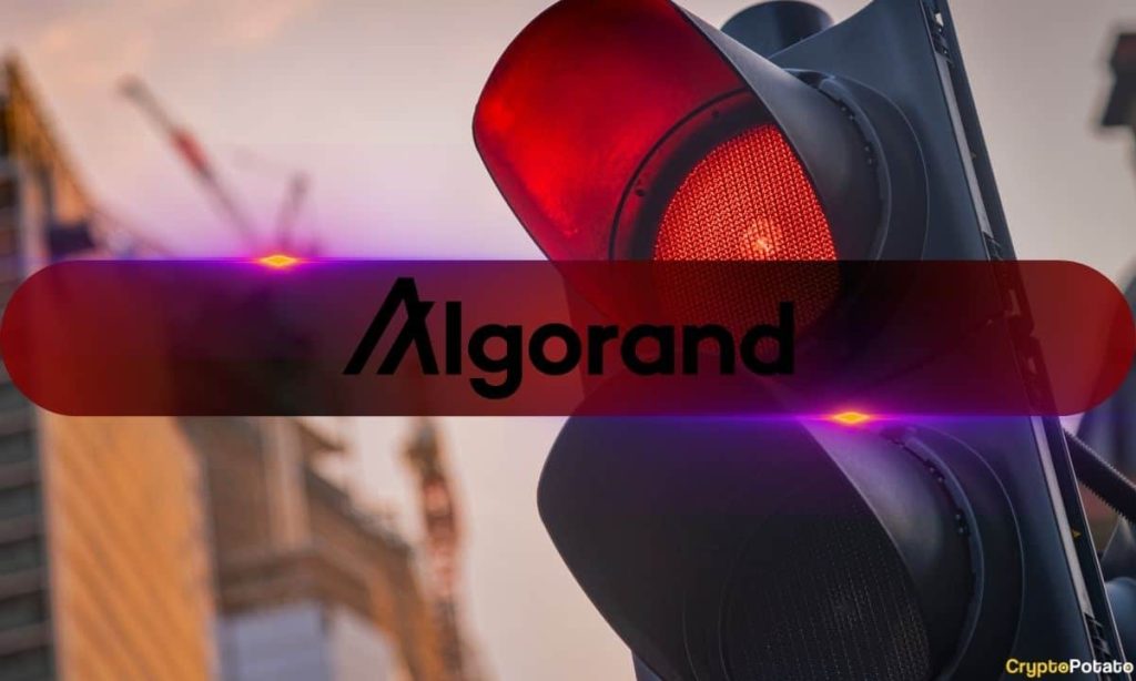Οι επενδυτές της Algorand αντιμετωπίζουν αποτυχίες, το 88% των κατόχων ALGO σε απώλεια: Ανάλυση Algorand.jpg