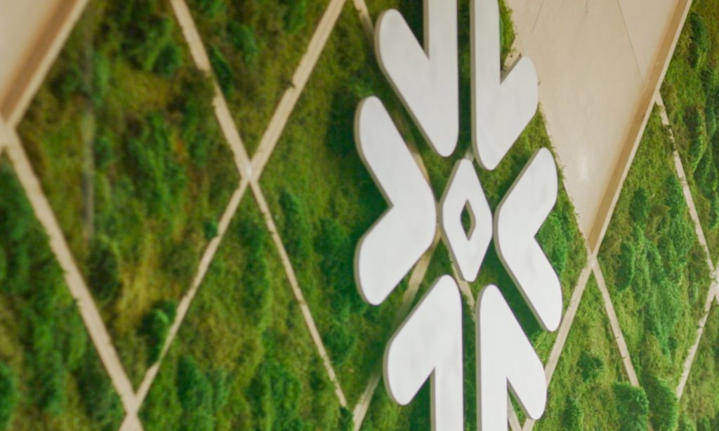 1 Ο Warren Buffett Artificial Intelligence (AI) μειώθηκε κατά 50% για να αγοράσει και να κρατήσει για πάντα 1 Ο Warren Buffett Artificial Intelligence Ai μειώθηκε κατά 50.jpg