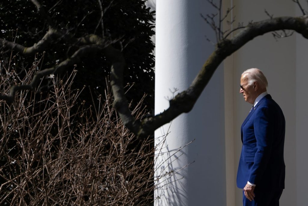 Δημοκρατικός πράκτορας παραδέχεται ότι ανέθεσε τη ρομποτική κλήση του Biden.jpgw1440.jpeg