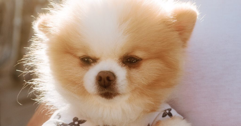 16wordplay Bedhead Wzvt Facebookjumbo.jpg