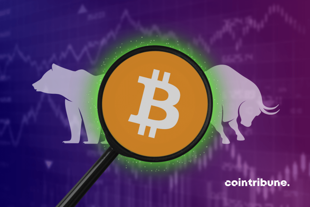 Image Cointribune 18.png
