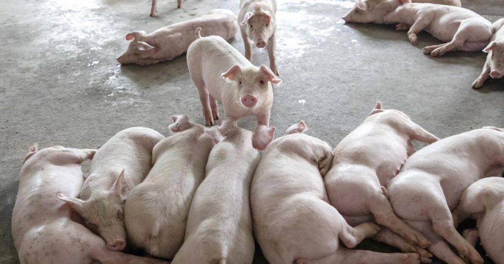 Τα πρωτόκολλα ασφαλείας της τεχνητής νοημοσύνης μπορεί να λείπουν τη.jpeg