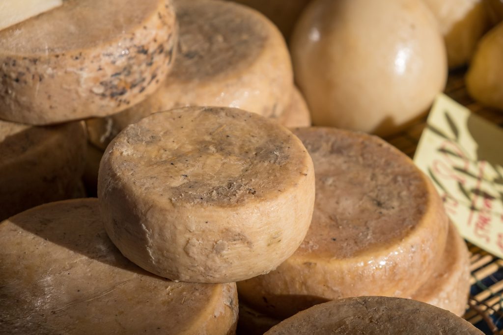 Το πιο επικίνδυνο τυρί στον κόσμο σερβίρεται καλυμμένο με σκουλήκια που πηδούν Casu Marzu Cheese With Maggots.jpg